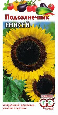 Подсолнечник Енисей 10г (Гавриш)