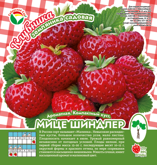 Клубника Мице Шиндлер А 10шт/пучок (Сиб сад)