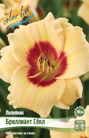 Лилейник Бриллиант Секл 1шт (Колорлайн)