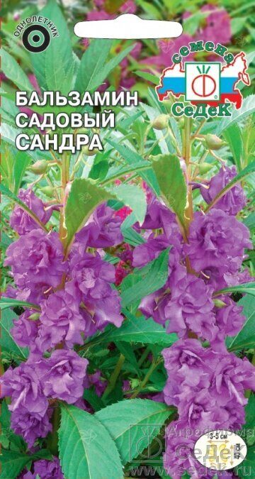 Бальзамин Сандра садовый однолетник 0,2г (Седек)