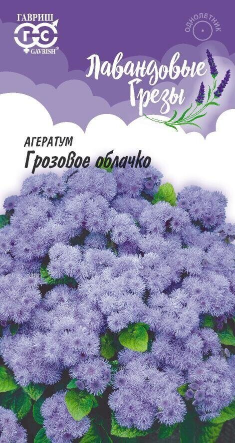 Агератум Грозовое облачко Лавандовые грезы однолетник 0,05г (Гавриш)