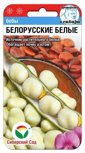 Бобы Белорусские белые 5шт (Сиб Сад)