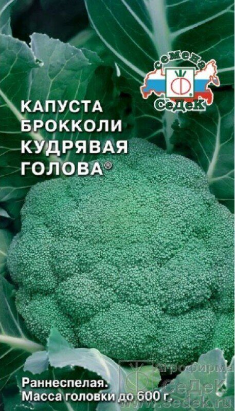Капуста брокколи Кудрявая голова раннеспелая 0,5г (Седек)