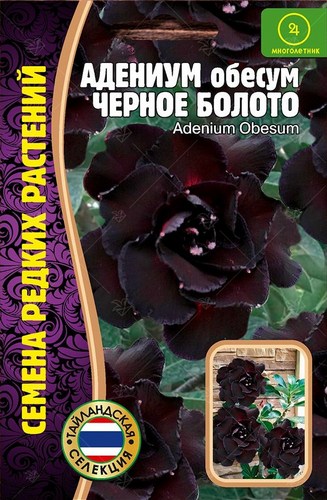 Адениум Черное болото 3шт (Ред.Сем)