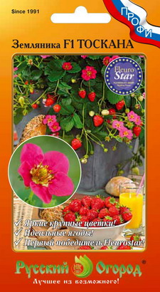 Земляника Тоскана F1 ПРОФИ 5шт (НК)