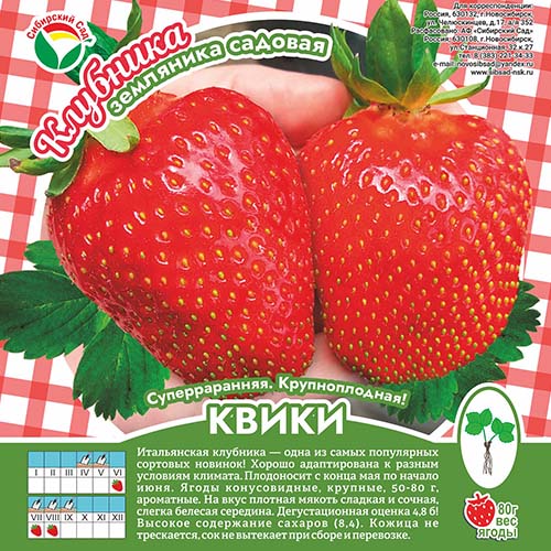 Клубника Квики А 10шт/пучок (Сиб сад)