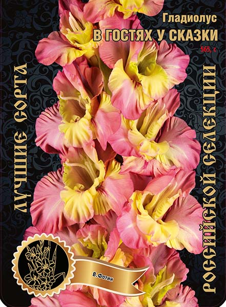 Гладиолус В Гостях у Сказки (В-16-939) 565,Фотин 1 р-р 1шт (Ф)