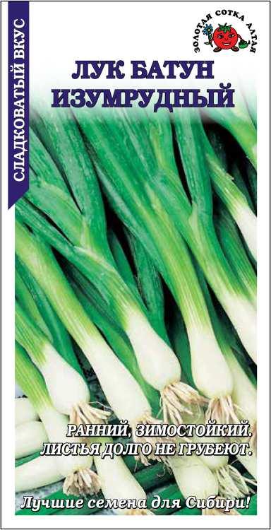 Лук Батун Изумрудный 1 гр (Золотая Сотка)