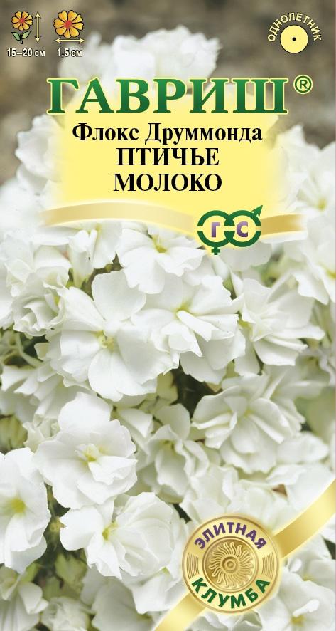 Флокс Друм Птичье молоко однолетник 8шт (Гавриш)