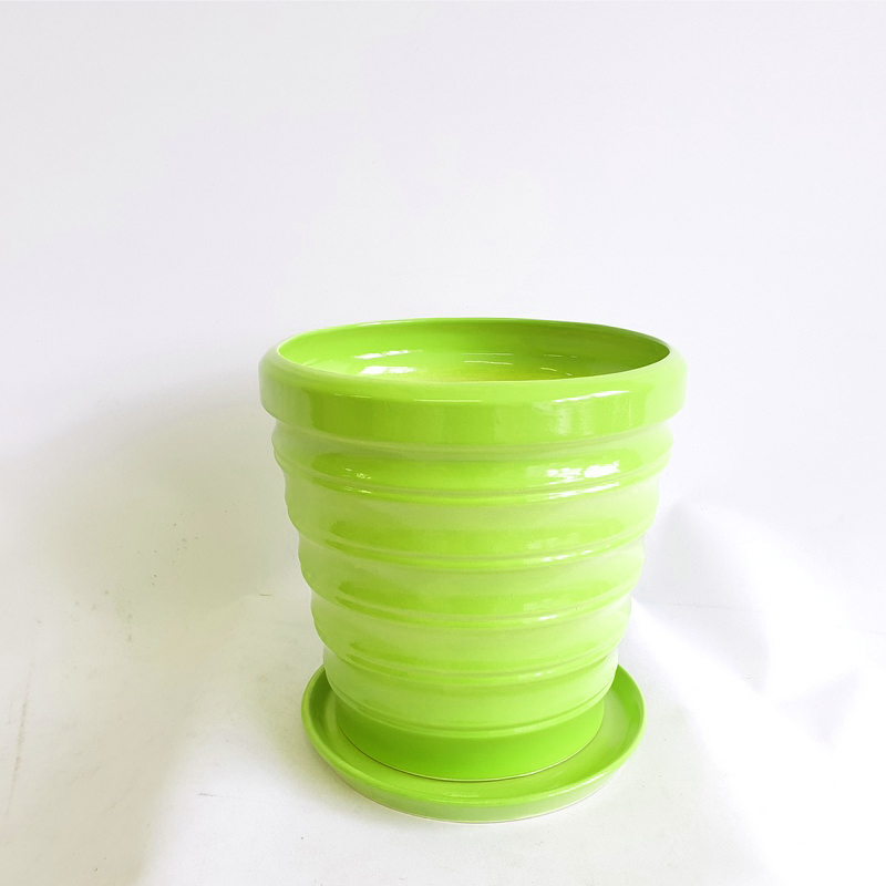 Бамбук Зеленый №3 2,8л (в.18,3 д.19) (В)