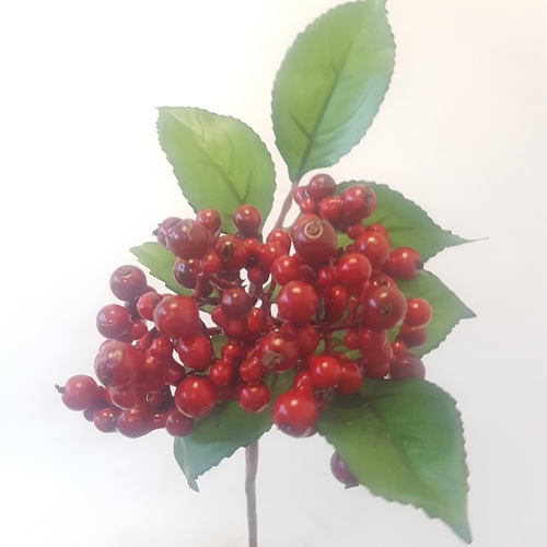 Ветка Рябины 1шт (Сиб Сад)