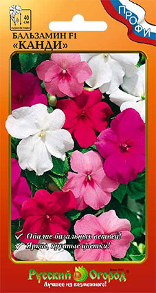 Бальзамин Канди F1 Смесь ПРОФИ 10шт (НК)