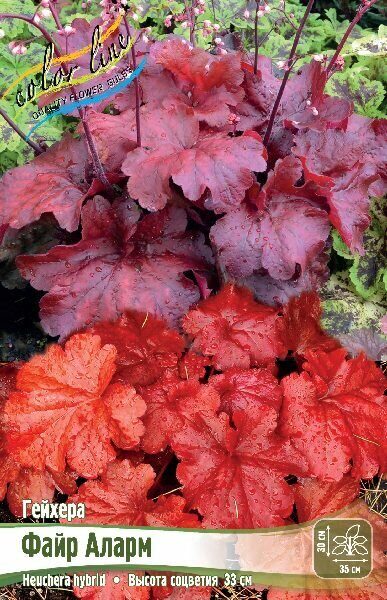 Гейхера Файр Аларм 1шт (Колорлайн)