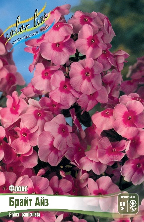 Флокс Брайт Айз 2шт (Колорлайн)