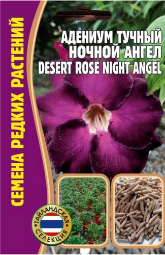 Адениум тучный Ночной Ангел 3шт (Ред.Сем)