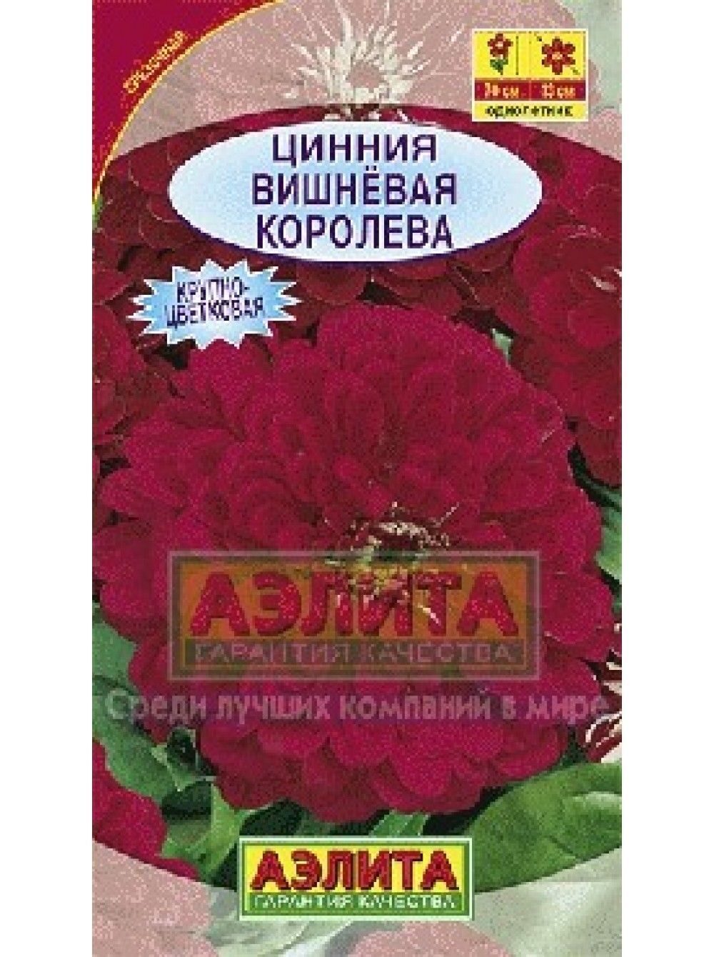 Цинния Вишневая королева однолетник 0,3г (Аэлита)