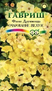 Флокс Друм Очарование желтое однолетник 0,05г (Гавриш)