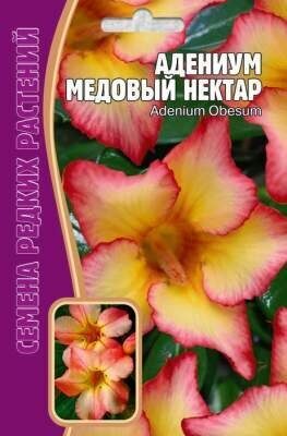 Адениум Медовый Нектар 3шт (Ред.Сем)