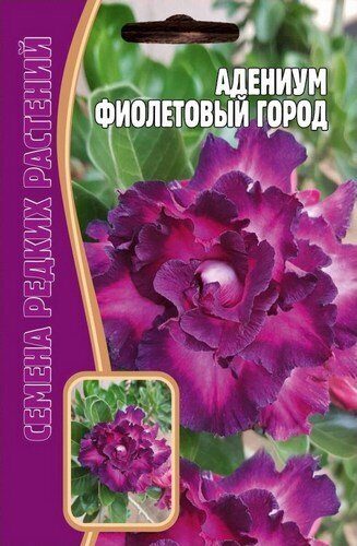 Адениум Фиолетовый Город 3шт (Ред.Сем)
