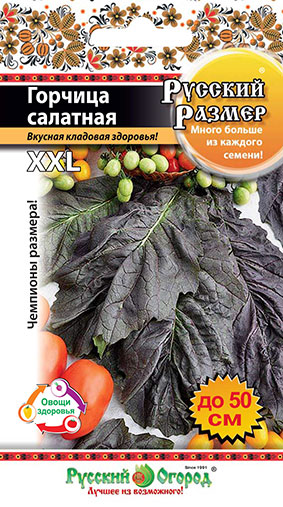 Горчица салатная РУССКИЙ РАЗМЕР 100шт (НК)