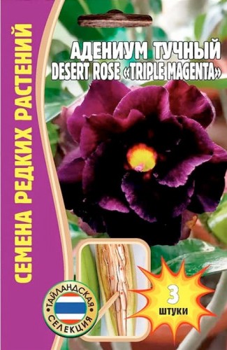 Адениум тучный Triple Magenta 3шт (Ред.Сем)