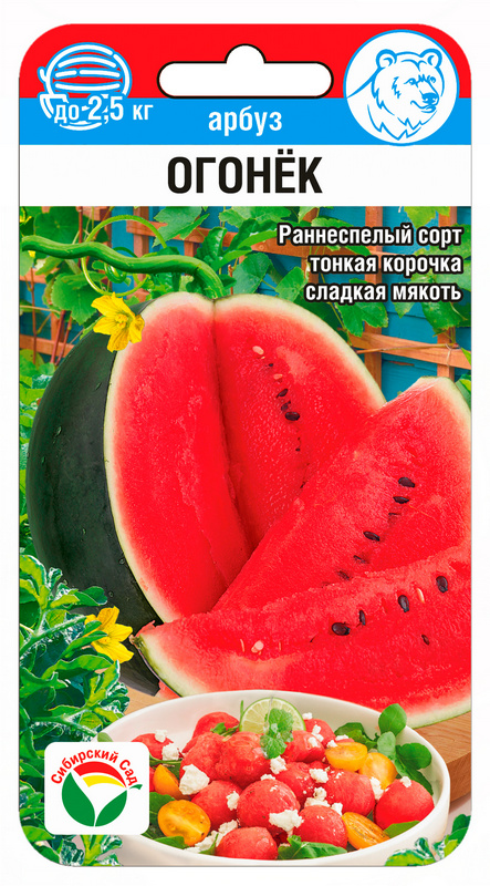 Арбуз Огонек 5шт (Сиб Сад)