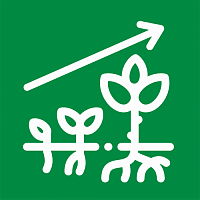 Стимуляторы