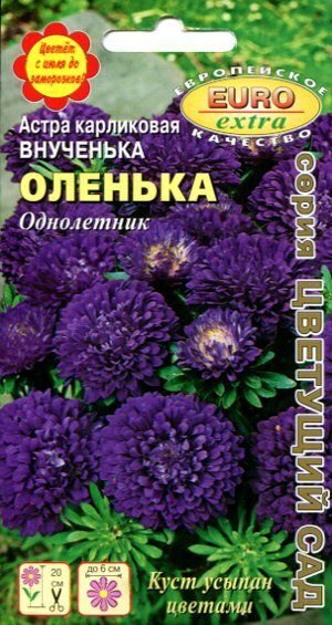 Астра Внученька Оленька карликовая 0,1г (АэлитаЭкстра)