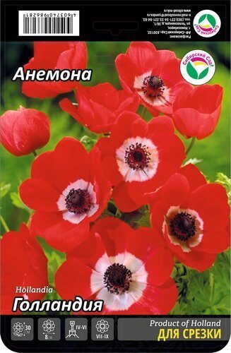 Анемона Голландия 5/6 15шт (Сиб сад)