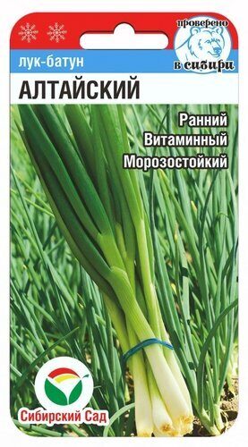Лук Батун Алтайский 0,5г (Сиб Сад)