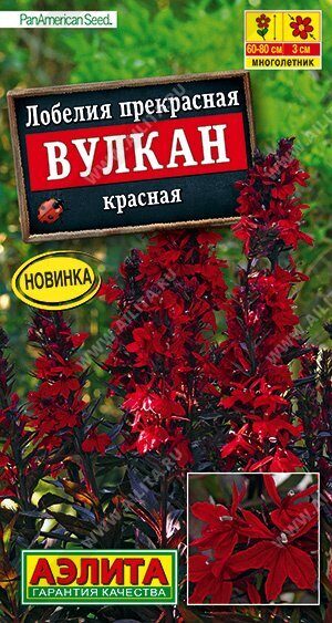Лобелия Вулкан красная однолетник 5шт (Аэлита)