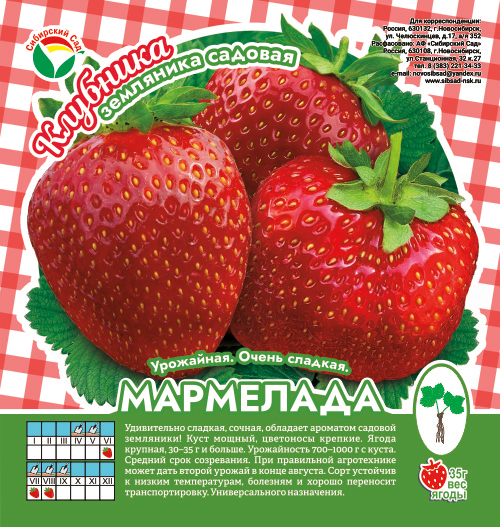 Клубника Мармелада А 10шт/пучок (Сиб сад)