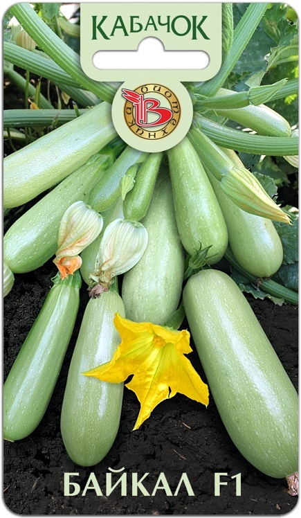 Кабачок Байкал F1 5шт (Биотехника)