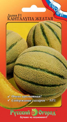 Дыня Канталупа желтая F1 ПРОФИ 8шт (НК)