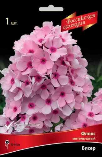 Флокс Бисер 1шт (Поиск)