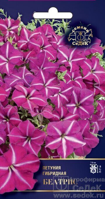 Петуния Беатрис F1 многоцветковая 5шт (Седек)