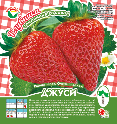 Клубника Джуси А 10шт/пучок (Сиб сад)