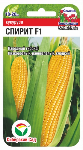 Кукуруза Спирит F1 5шт (Сиб Сад)