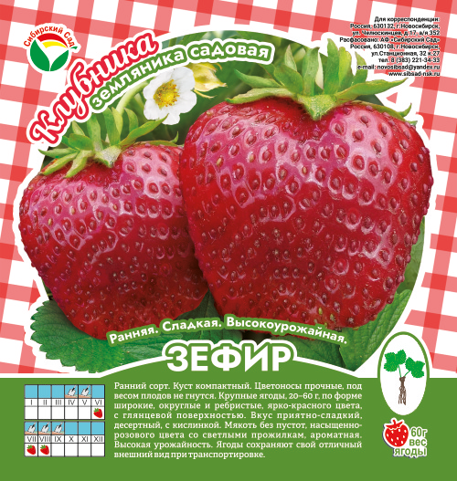 Клубника Зефир A 10шт/пучок (Сиб сад)