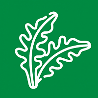 Капуста японская