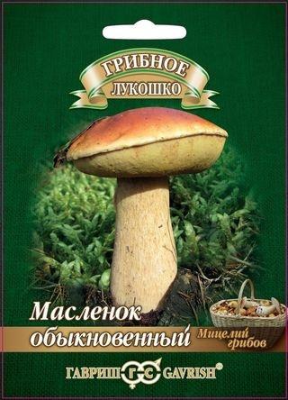 Масленок на зерновом субстрате 15мл (Гавриш)