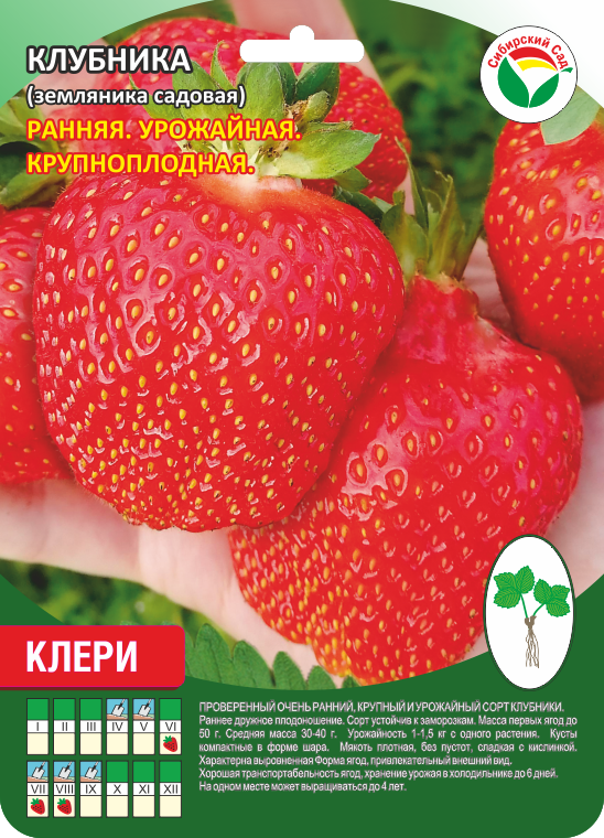 Клубника Клери А 10шт/пучок (Сиб сад)