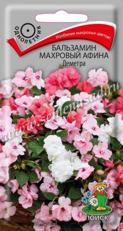 Бальзамин АФИНА Деметра махровый однолетник 5шт (Поиск)
