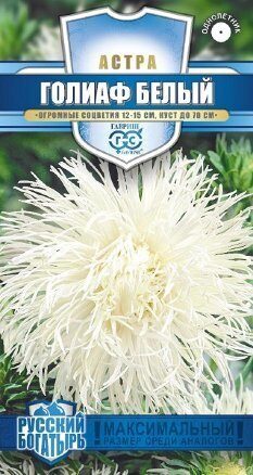 Астра Голиаф белый Русский богатырь однолетник 0,3г (Гавриш)