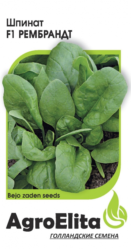 Шпинат Рембрандт F1 1г (Агроэлита)