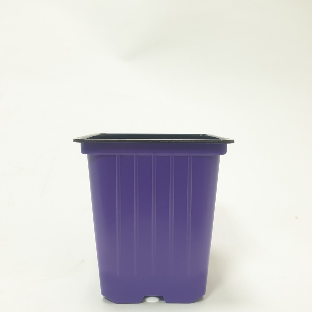 Горшок 0,55л 9*9*10 лаванда КВ (Амина)(1500шт) 