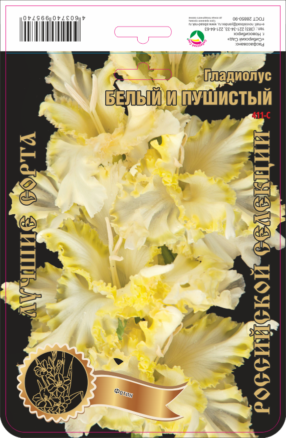 Гладиолус Белый Сонг 470,Милич/Фотин 2 р-р 1шт (Ф)