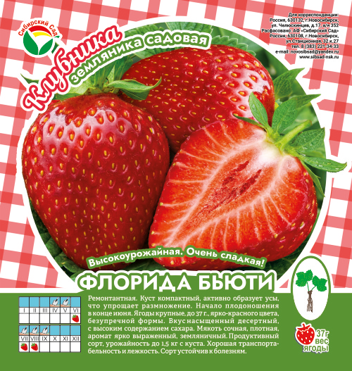 Клубника Флорида Бьюти А 10шт/пучок (Сиб сад)