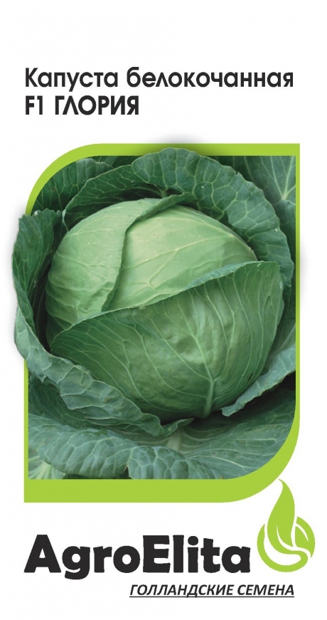 Капуста белокочанная Глория F1 10шт (Агроэлита)