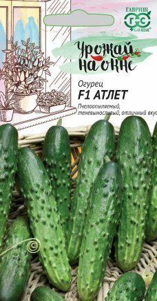 Огурец Атлет F1 Урожай на окне 10шт (Гавриш)
